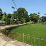 Bán đất 1.200m² Cư Yên Lương Sơn Hòa Bình 3 tỷ - Ảnh thu nhỏ 4