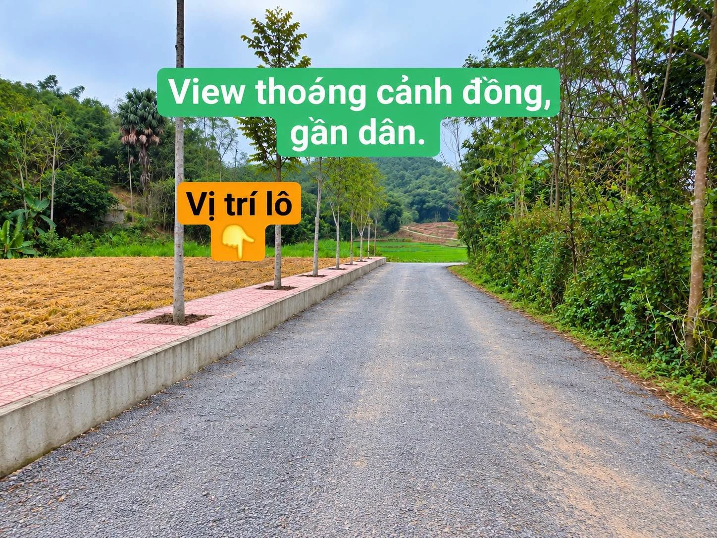 Bán đất thổ cư 150m² bám đường nhựa giá 79 triệu tại Vân Am, Ngọc Lặc, Thanh Hóa - Ảnh 1