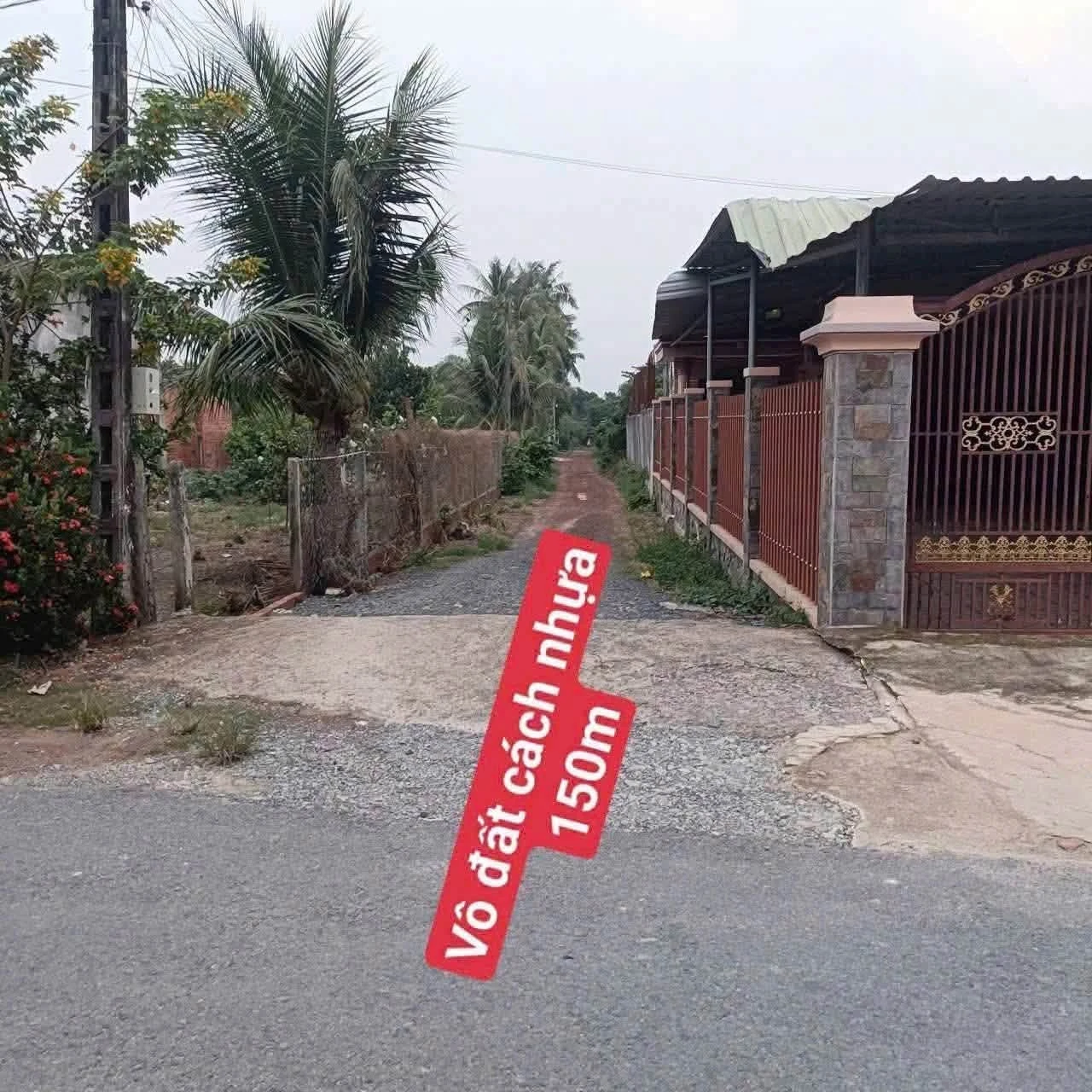 Bán đất 80m² Tây Ninh 250 triệu hẻm xe hơi - Ảnh 1
