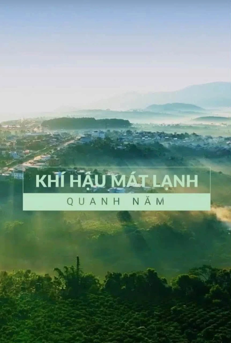 Bán đất 200m² vừa Đà Lạt 559 triệu - Ảnh 1