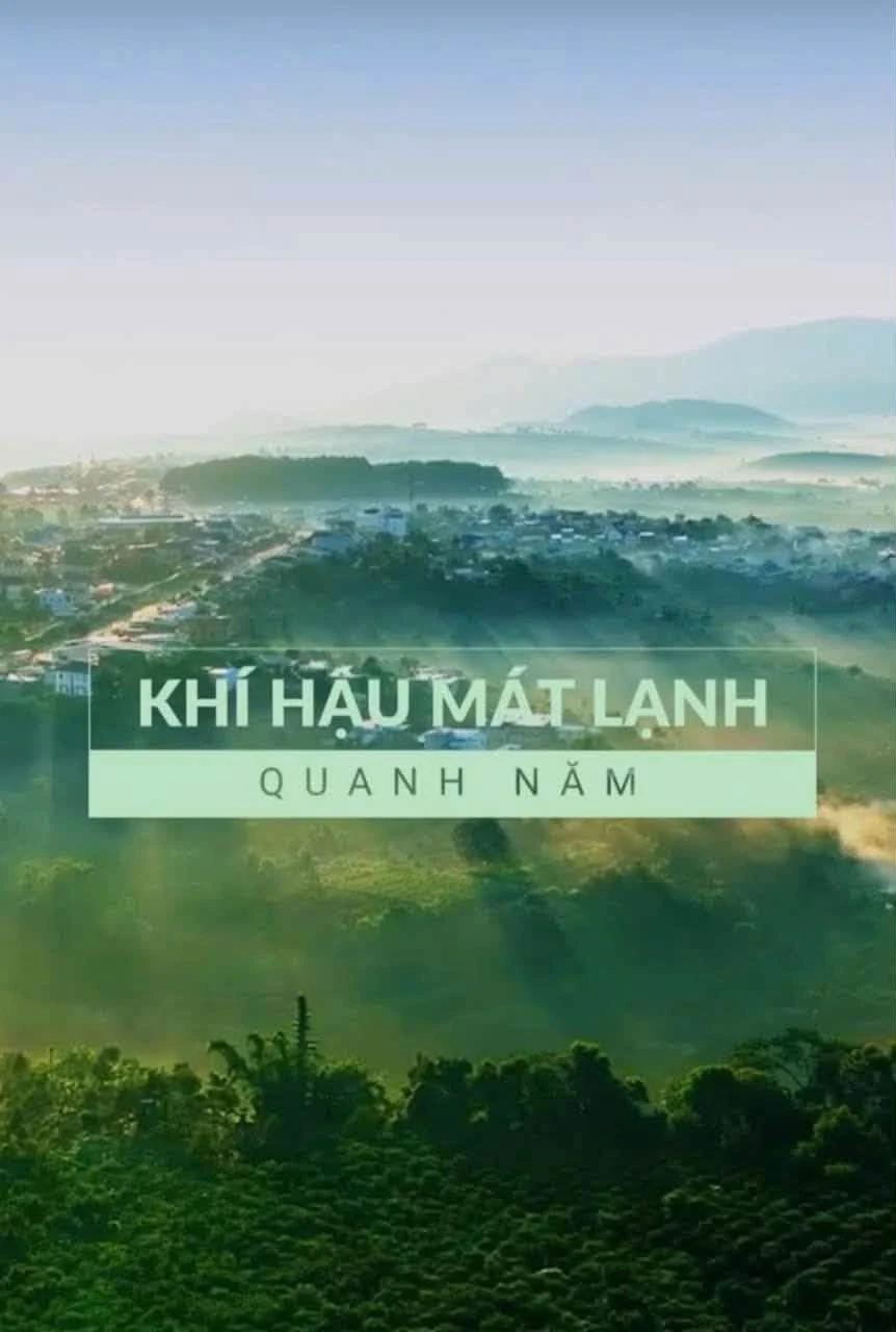 Bán đất 200m² vừa Đà Lạt 559 triệu - Ảnh 1