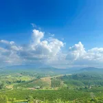 Bán lô đất gần 500m2 có thổ cư tại Tân Thượng, Di Linh, Lâm Đồng giá 350 triệu - Ảnh thu nhỏ 4