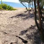 Bán lô góc đất biển Hoài Hải 138m2, 1 tỷ 8 - Ảnh thu nhỏ 4