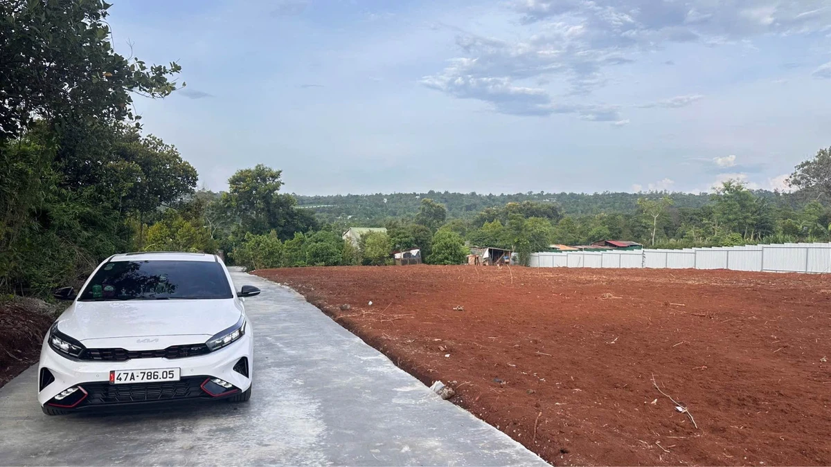 Bán đất đường Ô Việt 150m² 295 triệu - Ảnh thu nhỏ 2
