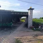 Bán đất Trảng Bàng 80m² 750 triệu An Tịnh - Ảnh thu nhỏ 1