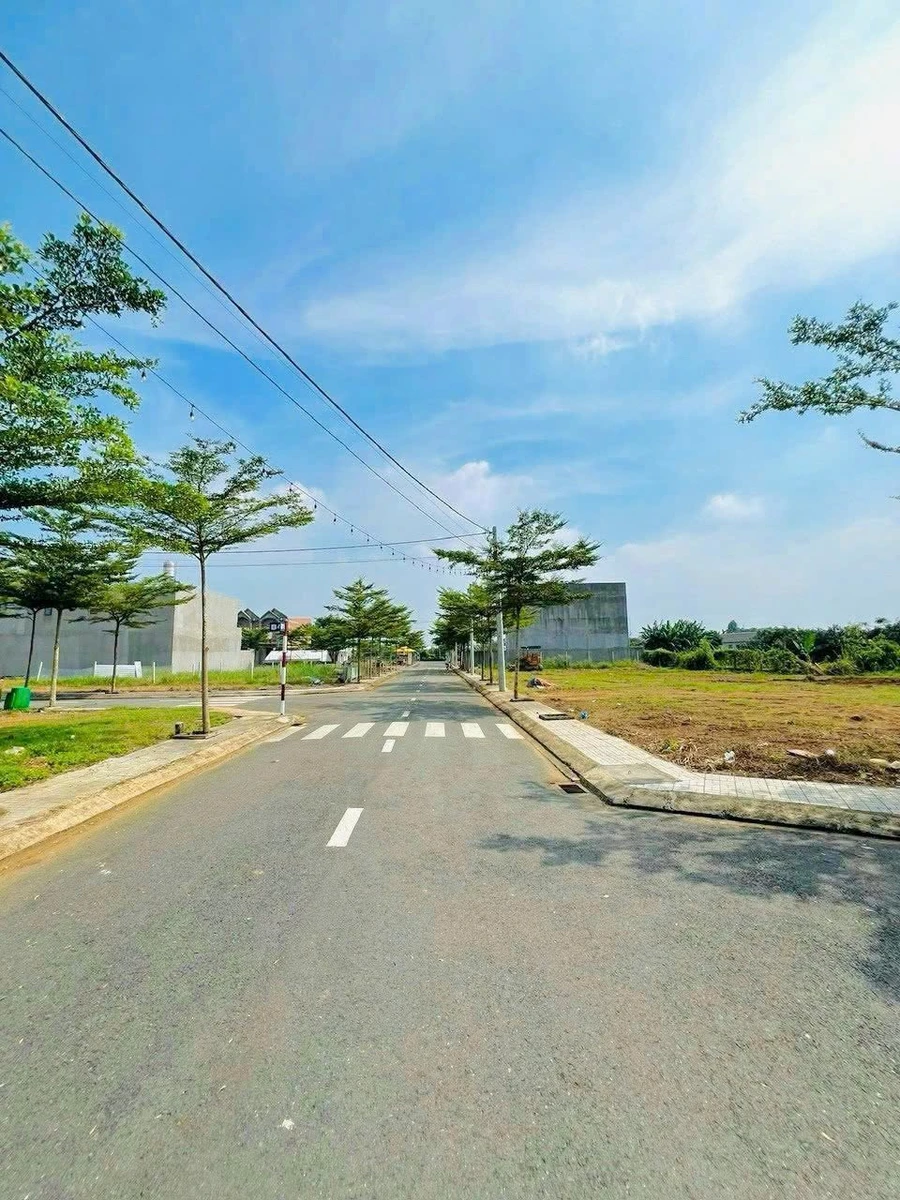 Bán gấp giá sỉ 20 lô Đất đối diện Chợ Tân Bình - Công An phường Tân Triều, TP Đồng Nai - Ảnh thu nhỏ 2