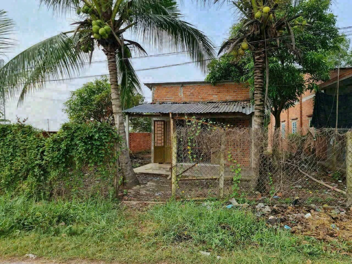 Bán đất 13x25m (325m²) Thạnh Phước Gò Dầu 1 tỷ 450 - Ảnh 1