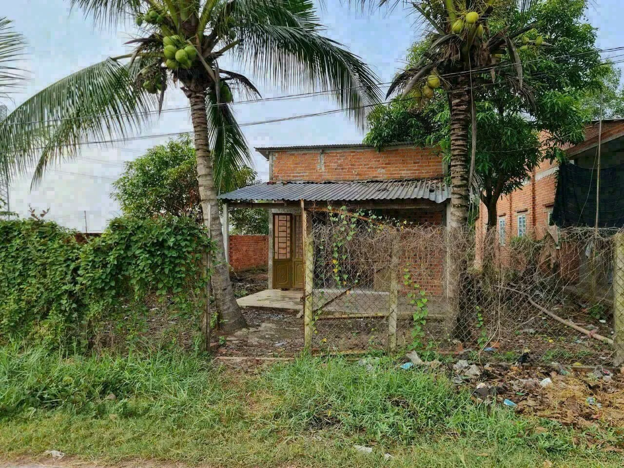 Bán đất 13x25m (325m²) Thạnh Phước Gò Dầu 1 tỷ 450 - Ảnh 1