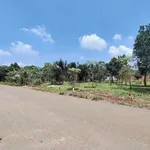 Bán 600m² đất vườn trái cây Long Phước 1 tỷ 750 triệu - Ảnh thu nhỏ 4