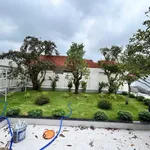 Nhà vườn 652m2 gần TL9 Cát Tường Phú Sinh 6.5 tỷ - Ảnh thu nhỏ 5