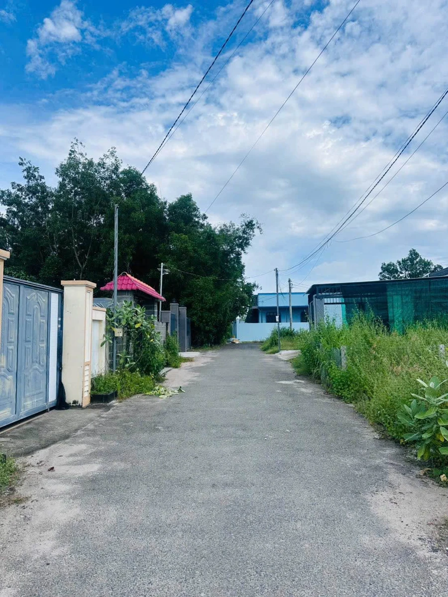 Bán đất làm nhà vườn 466m² Phước Hải Bà Rịa Vũng Tàu - Ảnh thu nhỏ 2