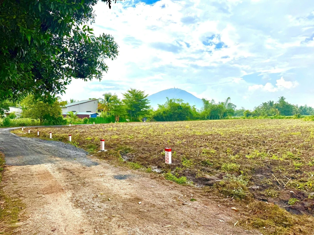 Bán đất 1000m2 (100m2 thổ cư) tại Tây Ninh 560 triệu - Ảnh thu nhỏ 2