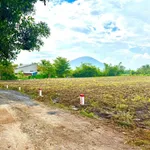Bán đất 1000m2 (100m2 thổ cư) tại Tây Ninh 560 triệu - Ảnh thu nhỏ 2