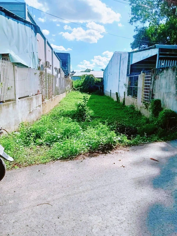 Bán gấp đất nền mặt tiền 198m² Thanh Điền, Bình Dương 350 triệu