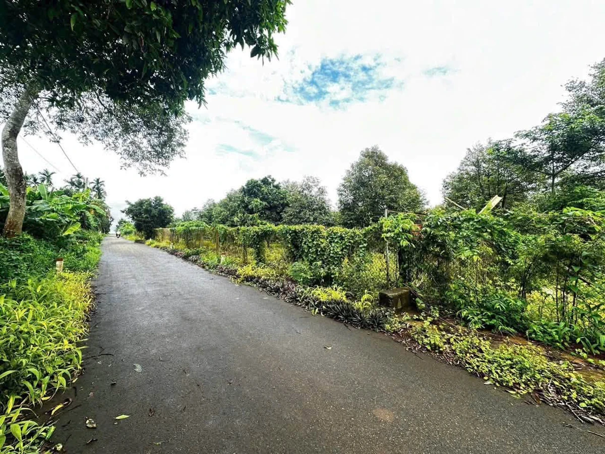 Bán đất Châu Đức 13.000m2 (200m thổ cư) 22 tỷ - Ảnh thu nhỏ 5