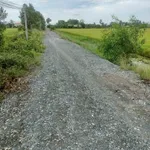Bán 11.000m² đất lúa Tân Thành Thủ Thừa, Tây Ninh - Ảnh thu nhỏ 4