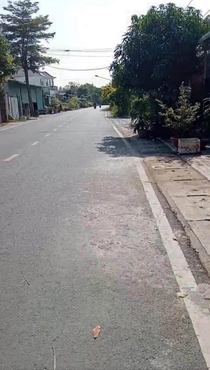 Bán lô đất 1000m², ngang 10m, Phú An, Bình Dương, 3 tỷ 4 - Ảnh thu nhỏ 4