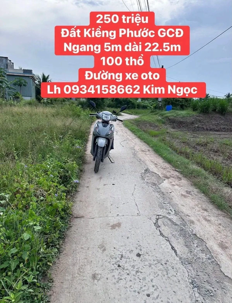 Bán đất 5x22,5m có 100m2 thổ cư giá 250 triệu tại xã Gia Thuận, Đồng Tháp - Ảnh 1
