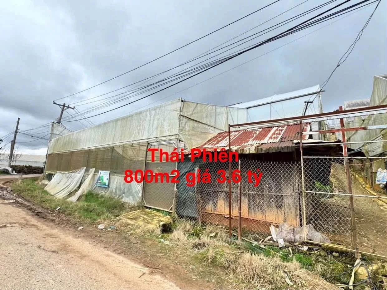 Bán lô đất 800m² Làng hoa Thái Phiên, Đà Lạt 3.6 tỷ - Ảnh 1