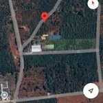 Bán đất hơn 500m2 sổ riêng đường Phạm Ngũ Lão, Phường Buôn Ma Thuột, Đắk Lắk giá 990 triệu - Ảnh thu nhỏ 4