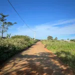 Bán đất giá rẻ - hẻm ô tô 169 Nguyễn Đình Chiểu - Phường 1 Bảo Lộc - Ảnh thu nhỏ 6