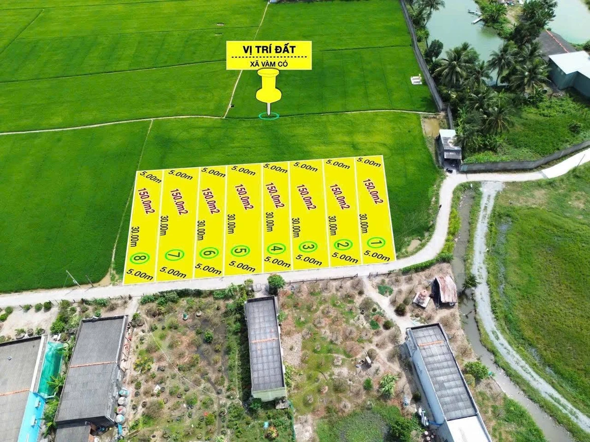 Bán đất thổ cư 150m² Đức Tân, Tân Trụ, Long An giá 399 triệu - Ảnh 1