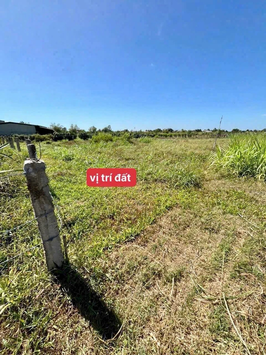 Bán đất sào Hàm Liêm Lâm Đồng 2.5 sào 1000m² - Ảnh thu nhỏ 2