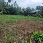 Bán đất 1000m² Tân Thành, Bến Tre, 1 tỷ - Ảnh thu nhỏ 3