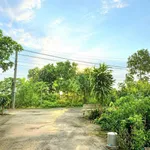 Bán đất 96m2 mặt tiền 6m gần khu đô thị Star Tân Trường - Ảnh thu nhỏ 1
