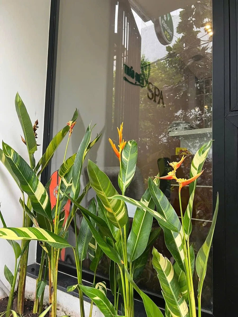 Bán nhà Thảo Điền 68m² giá 27 tỷ - Ảnh thu nhỏ 4