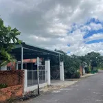 Bán nhà mặt tiền đường nhựa 8x29m giá 699 triệu tại xã Tân Phú, Tây Ninh - Ảnh thu nhỏ 2
