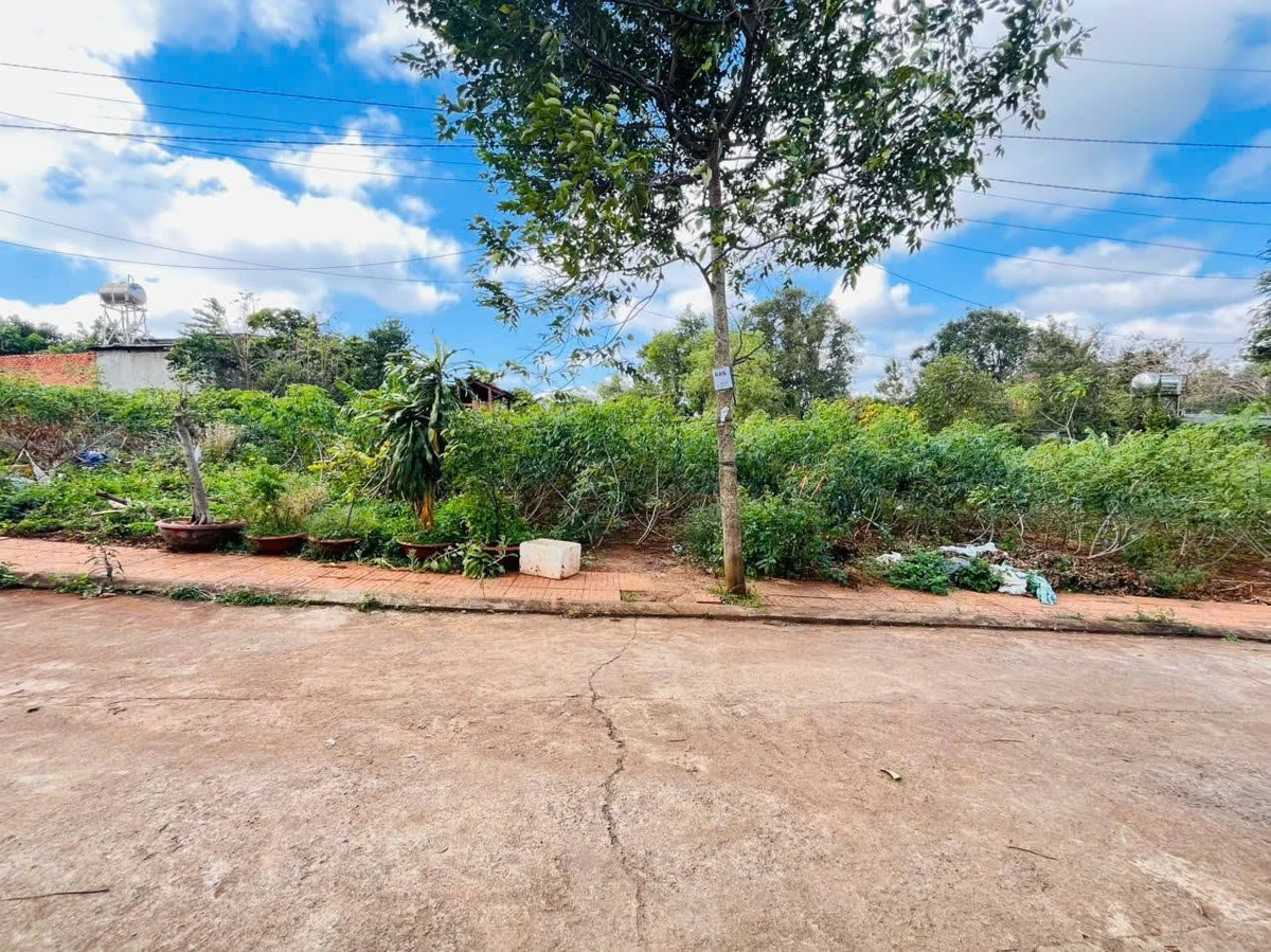Bán đất thổ cư 5x18m đường 19/5, Ea Tam, Buôn Ma Thuột, giá 1,65 tỷ/lô - Ảnh thu nhỏ 2