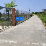 Bán nhà cấp 4 + 252m² thổ cư tại Hàm Chính, Bình Thuận - Ảnh thu nhỏ 2