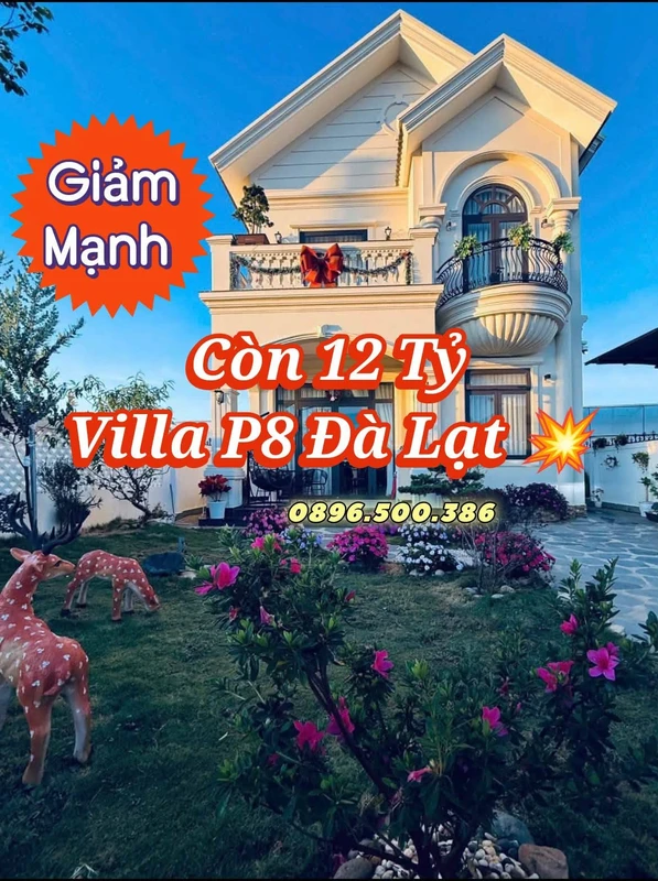 Bán villa sân vườn 201m² 4PN Đà Lạt Phường 8