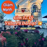 Bán villa sân vườn 201m² 4PN Đà Lạt Phường 8 - Ảnh thu nhỏ 1
