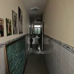Bán nhà Bến Tre 4 phòng ngủ 104m² Khu Sao Mai 3 tỷ - Ảnh thu nhỏ 3