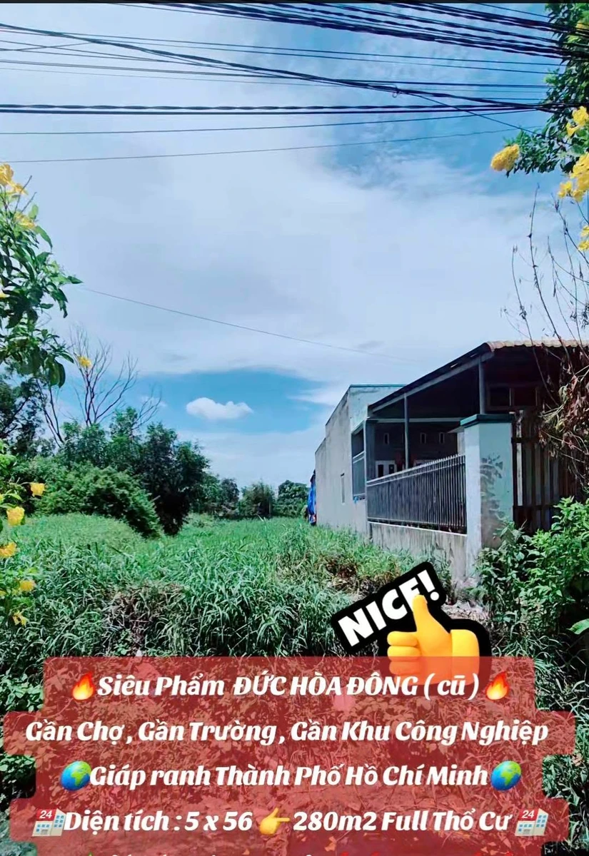 Bán đất thổ cư 280m2 sổ hồng riêng mặt tiền đường bê tông 5m, Xã Mỹ Hạnh, Tây Ninh - Ảnh thu nhỏ 3