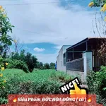 Bán đất thổ cư 280m2 sổ hồng riêng mặt tiền đường bê tông 5m, Xã Mỹ Hạnh, Tây Ninh - Ảnh thu nhỏ 3