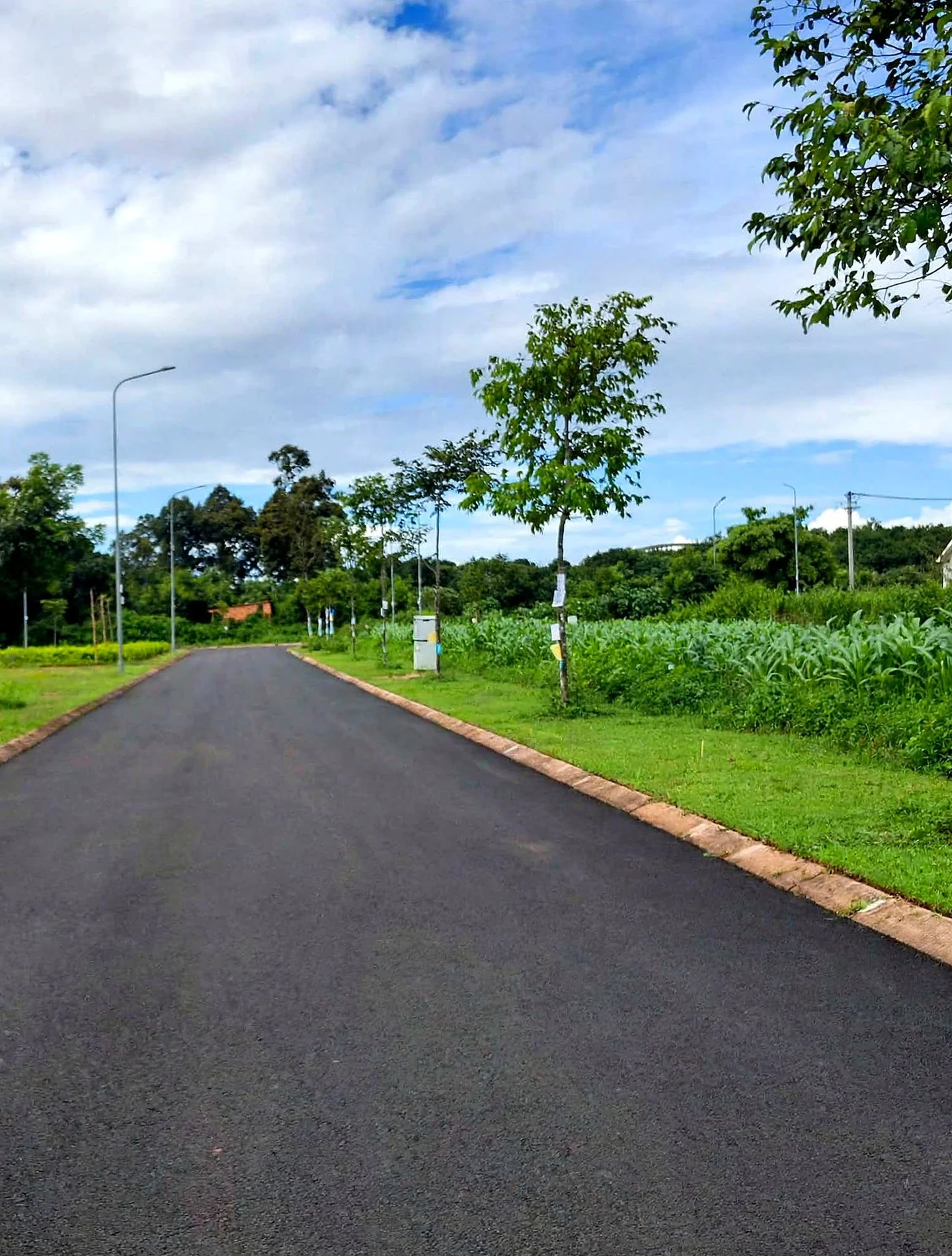 Bán đất đấu giá TDP 12 Tân An 132m² 3.4 tỷ - Ảnh 1