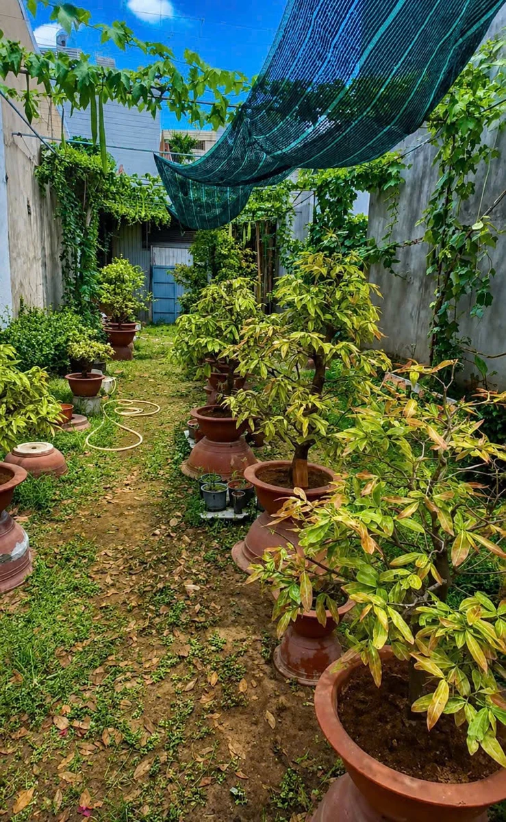 Bán đất 2 mặt tiền 146m2 Khu Cư Xá Giáo Viên, Tam Hiệp - Ảnh 1