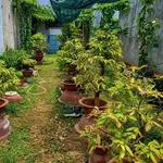 Bán đất 2 mặt tiền 146m2 Khu Cư Xá Giáo Viên, Tam Hiệp - Ảnh thu nhỏ 1