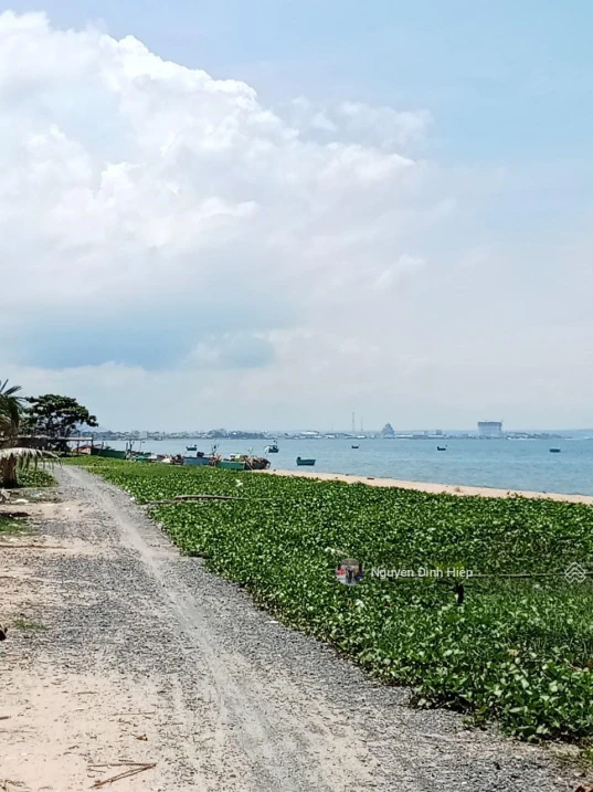 Bán 4395m2 thổ cư mặt tiền biển Trần Lê, Tiến Thành, gần NovaWorld - Ảnh thu nhỏ 2