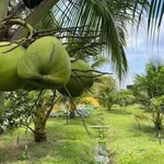 Bán đất 500m² đường Lê A Đồng Nai 8xx triệu - Ảnh thu nhỏ 4