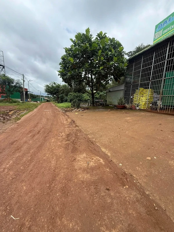 Bán đất 2,8ha trồng cà phê Tuy Đức 3 tỷ 990 triệu