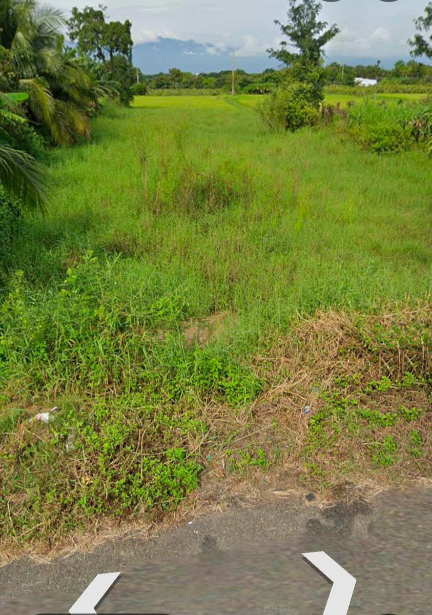 Bán đất mặt tiền Nguyễn Văn Trỗi Ma Lâm 2600m² - Ảnh thu nhỏ 3