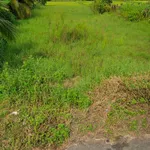 Bán đất mặt tiền Nguyễn Văn Trỗi Ma Lâm 2600m² - Ảnh thu nhỏ 3