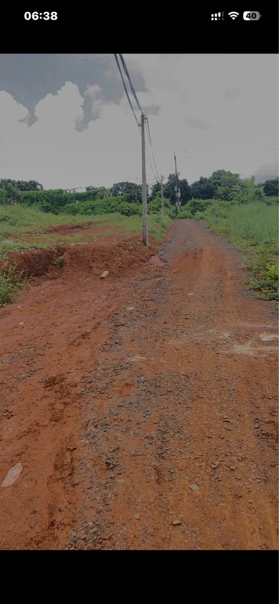 Bán lô đất Sào giá rẻ 1 tỷ, 1,7 sào Củ Chi - Ảnh thu nhỏ 5