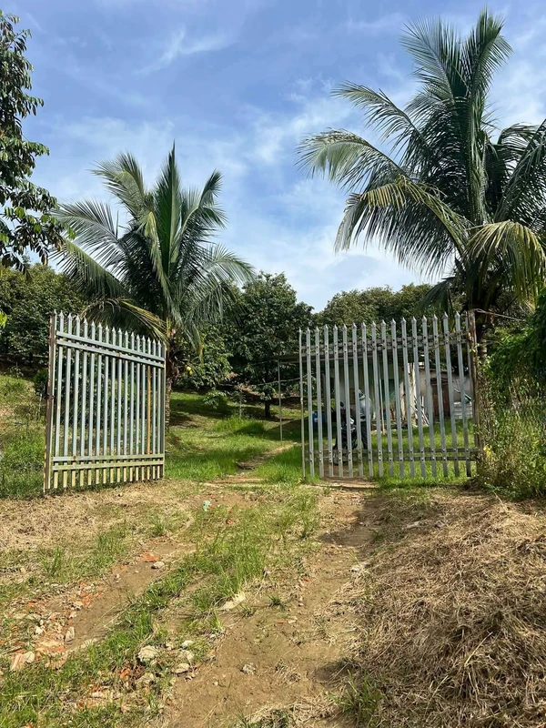 Bán vườn sầu riêng 12 năm, 12.854m², Phú Lâm, Đồng Nai