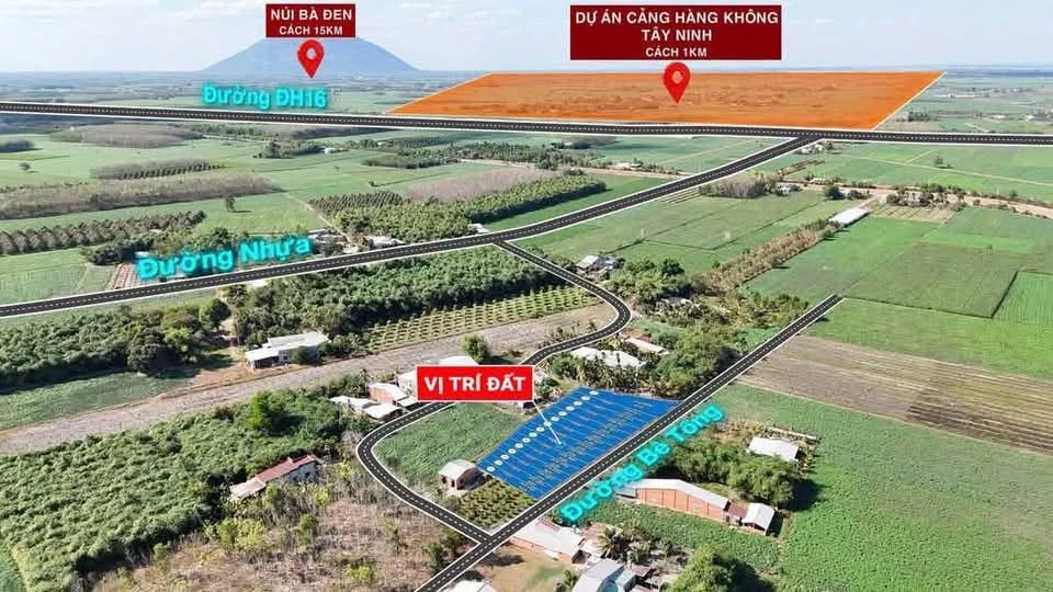 Bán đất thổ cư 5x33 (165m²) 200 triệu Tây Ninh - Ảnh thu nhỏ 3