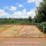 Bán đất mặt tiền 10x48m Tam Giác Vàng Tân Lập 2.45 tỷ - Ảnh thu nhỏ 1